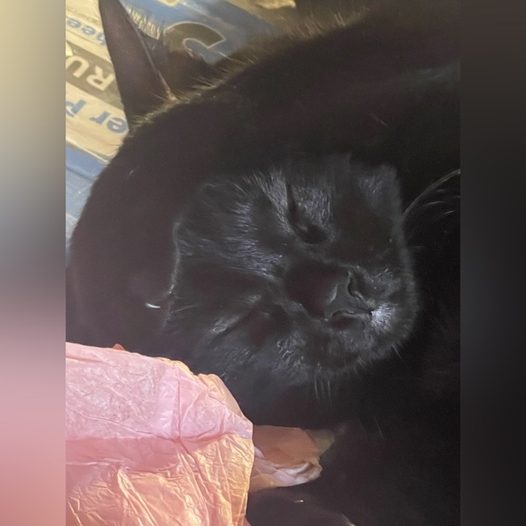 VIDEO! Waylon🤣🔊 - Picture 5 of 5